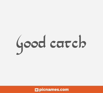 Good Catch